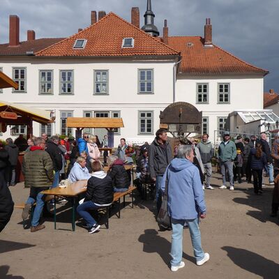 Elze im Wunderland - ein tolles Fest!