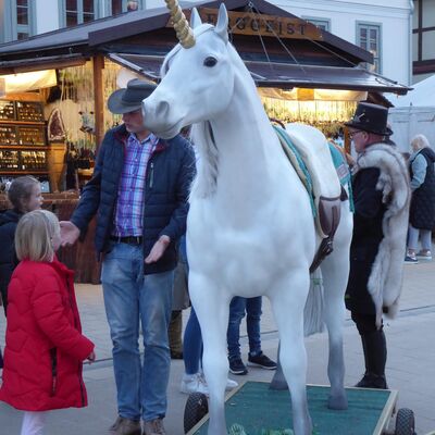 Auch ein Einhorn darf in einem Wunderland nicht fehlen