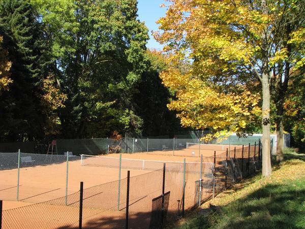 Tennisplätze des TC Elze am Papendahlweg