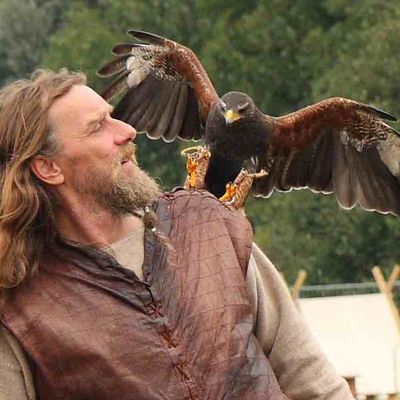 Erstmals dabei: Die Falknershow